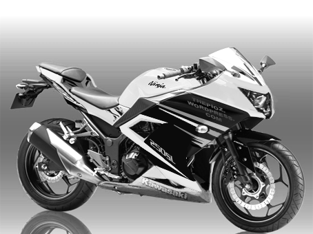 ninja 250SL 1 cylinder dohc WHITE