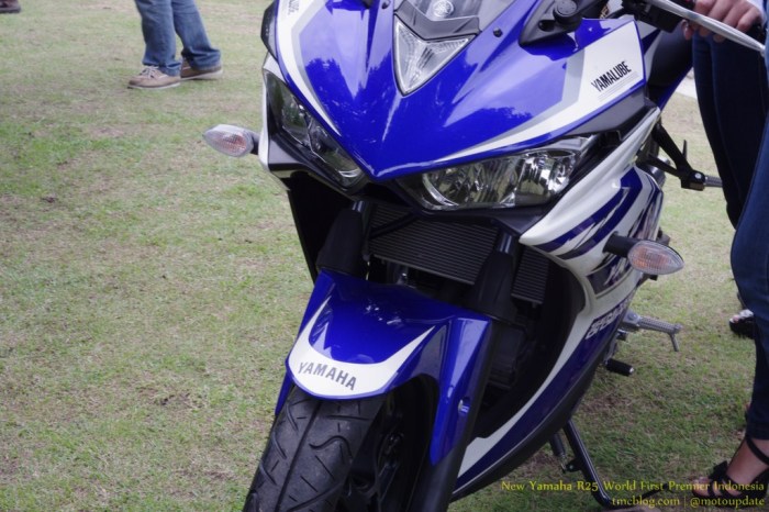 YAMAHA_R25177