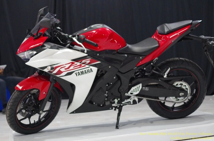 YAMAHA_R25193