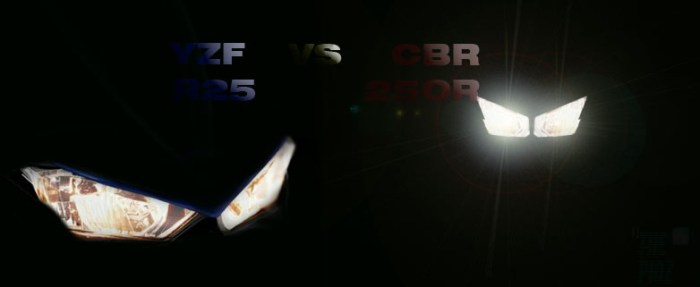 r25 vs cbr250