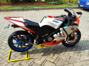 ninja150rr bw