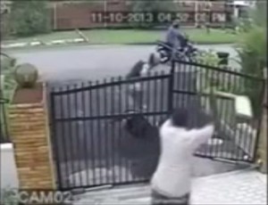 Maling motor nyangkut pagar 8