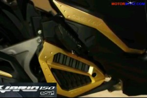 asesoris vario esp 11