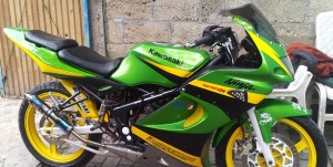 ninja 2 tak modification 1qqqq