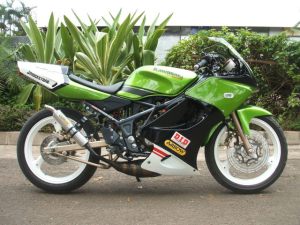 ninja 2 tak modification 1qrr