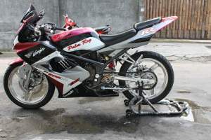 ninja 2 tak modification w