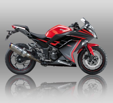 ninja-250-beet