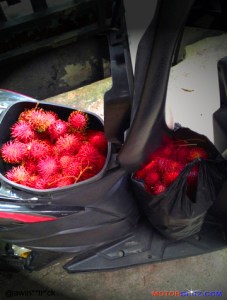 bagasi motor isi buah rambutan