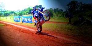 TEST WR250
