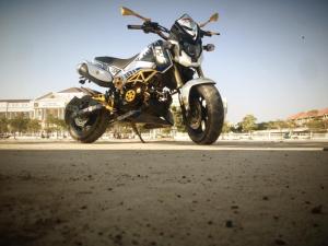Honda Grom modification (18)