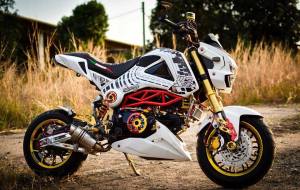 Honda Grom modification (22)