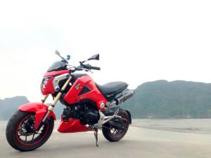 Honda Grom modification (35)