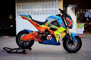 Honda MSX 125 Grom modif (29)