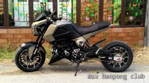 Honda MSX 125 Grom modif (8)