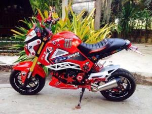 Honda MSX 125 Grom modification (30)