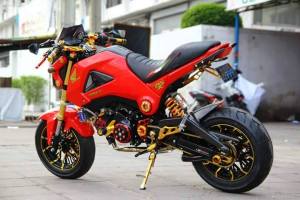 Honda MSX 125 Grom modification (38)