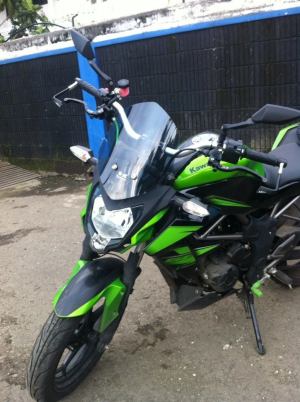 windshild z250sl (2)