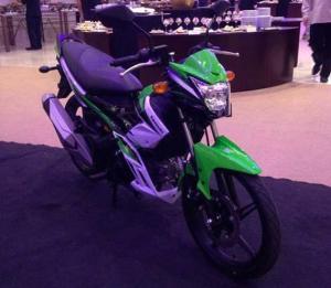 kawasaki-fury-125-rr-filipina-1