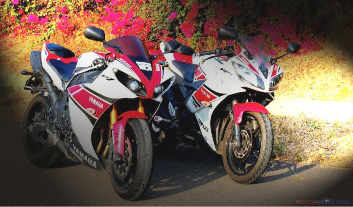 r15 & r1 dual muffler