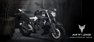yamaha mt25 indonesia (19)