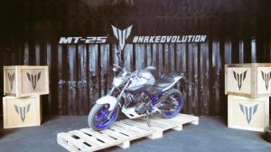 yamaha mt25 indonesia (20)