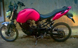 byson ban cacing pelk ruji