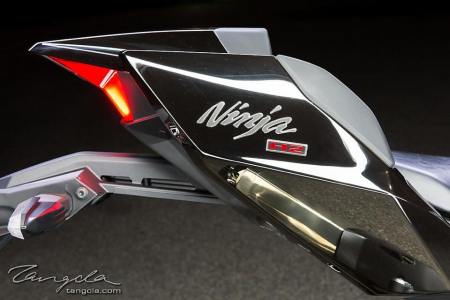 Ninja H2 (7)