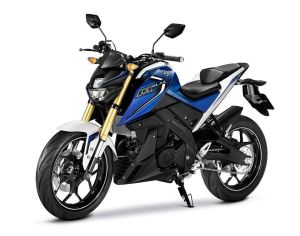2016 new yamaha mt-15 (13)