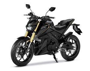 2016 new yamaha mt-15 (16)