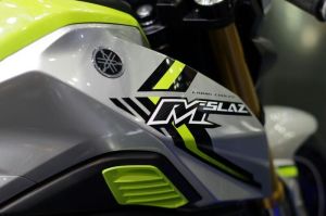 2016 new yamaha mt-15 (28)