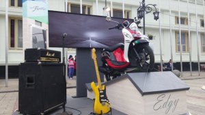 New Fino Sportif Noir