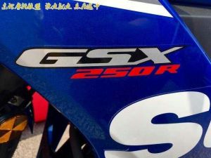suzuki-gsx-250r-3